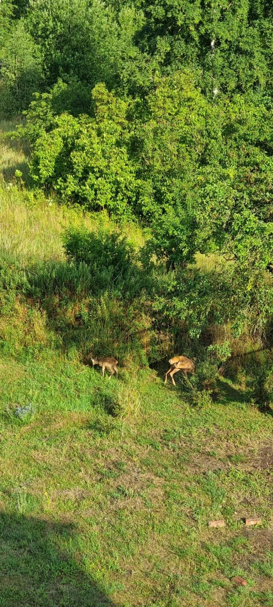 Ferienwohnung Fuer Naturliebhaber Peenemunde Exteriér fotografie